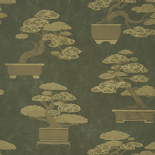 Load image into Gallery viewer, Bonsai Tree Wallpaper - Olive