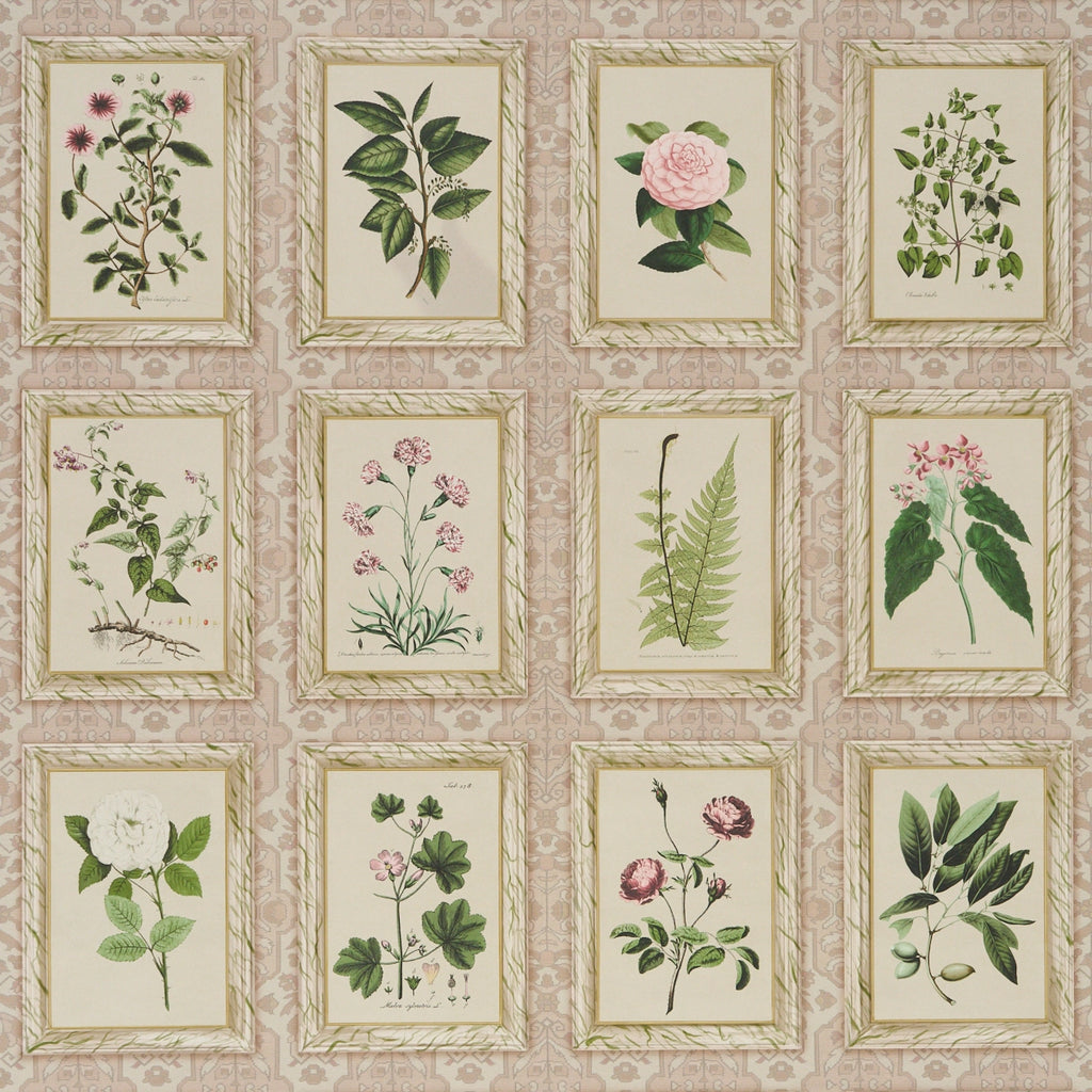 Garden's Trust Wallpaper - Blushed Oyster