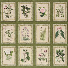 Load image into Gallery viewer, Garden's Trust Wallpaper - English Green