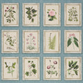 Garden's Trust Wallpaper