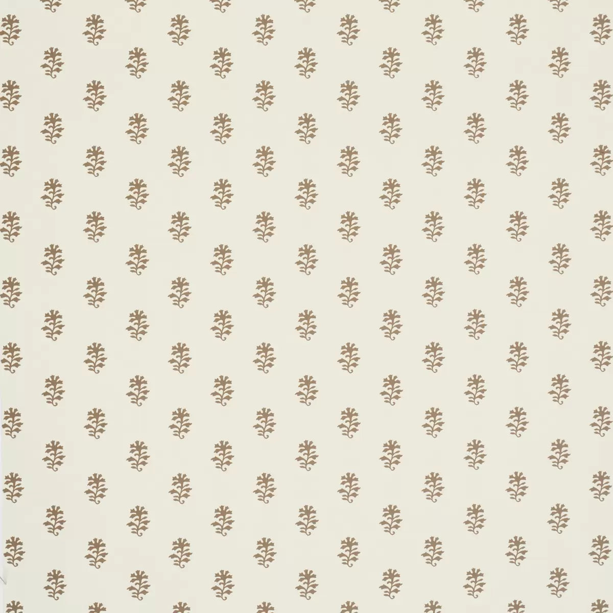 Iksha Wallpaper