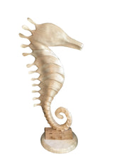 Load image into Gallery viewer, rafia seahorse
