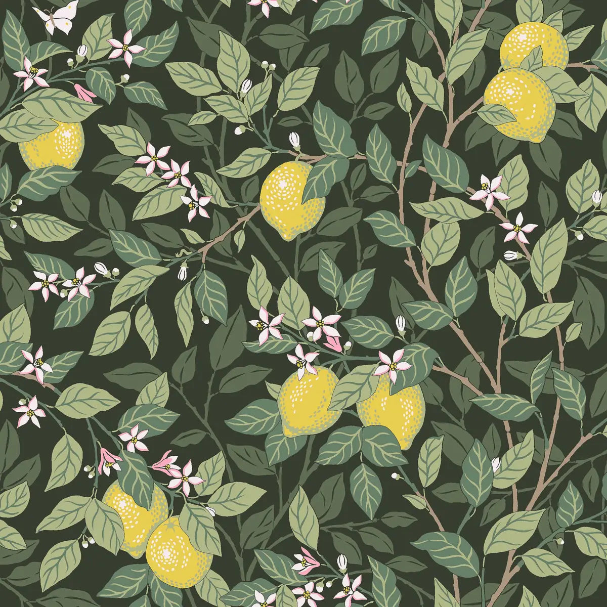 Citronträd Wallpaper - Green