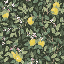 Load image into Gallery viewer, Citronträd Wallpaper - Green
