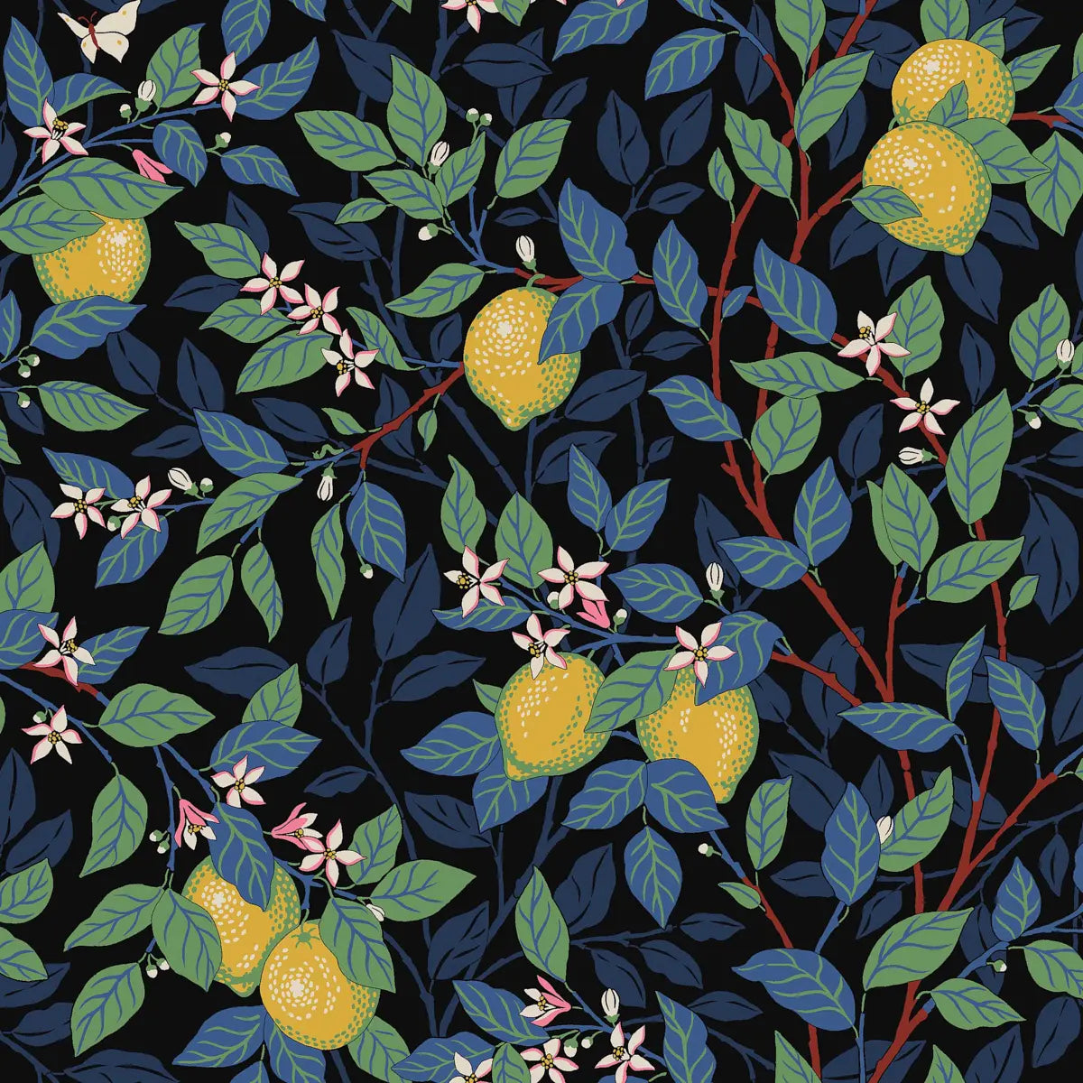 Citronträd Wallpaper - Spruce And Blue