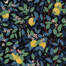 Load image into Gallery viewer, Citronträd Wallpaper - Spruce And Blue