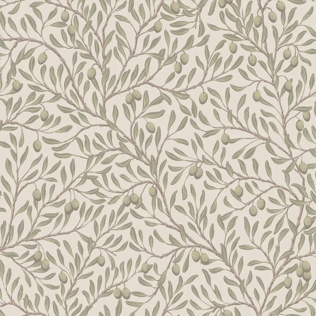 Olivträd Wallpaper - Leaf And Ivory