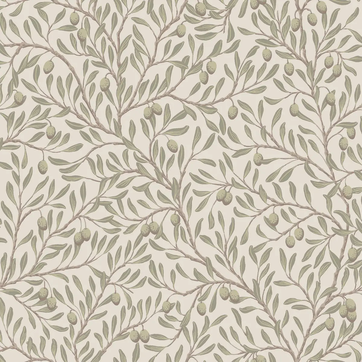 Olivträd Wallpaper - Leaf And Ivory