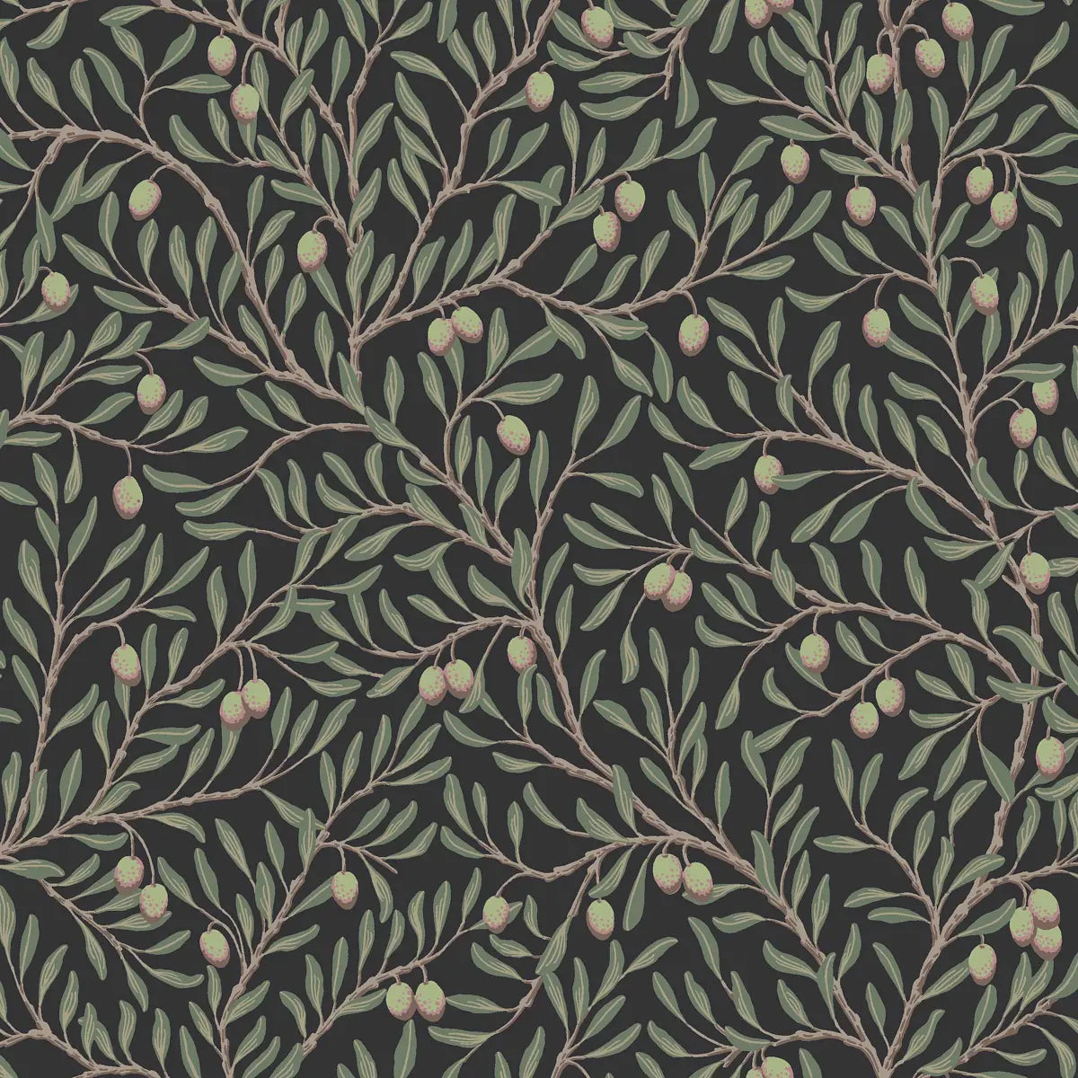 Olivträd Wallpaper - Spruce And Midnight