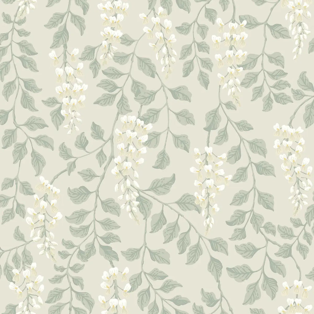 Blåregn Wallpaper