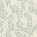 Blåregn Wallpaper
