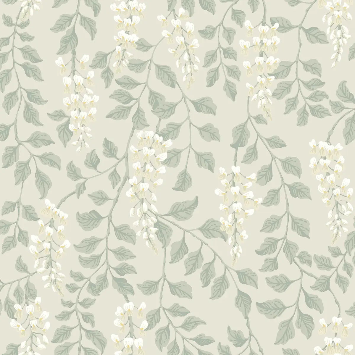 Blåregn Wallpaper