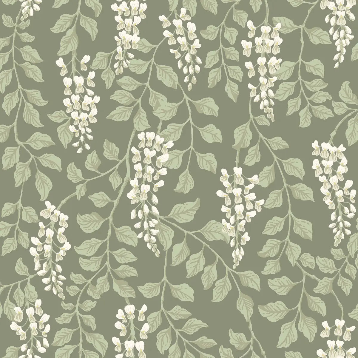 Blåregn Wallpaper - Sage