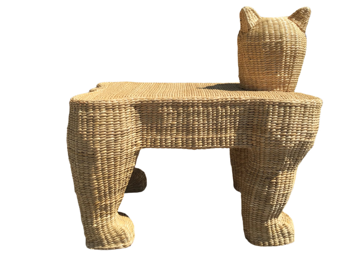 mario lopez torres jaguar bench
