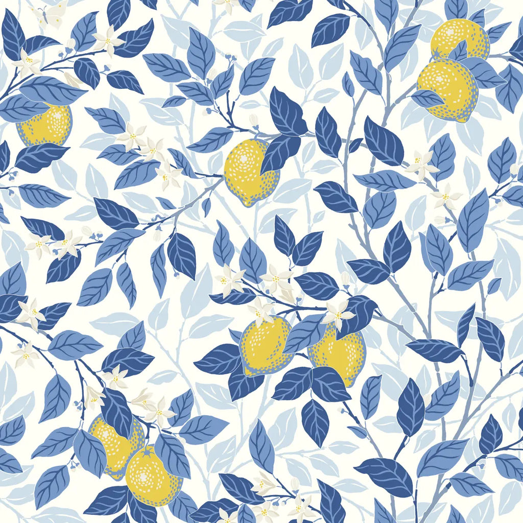 Citronträd Wallpaper