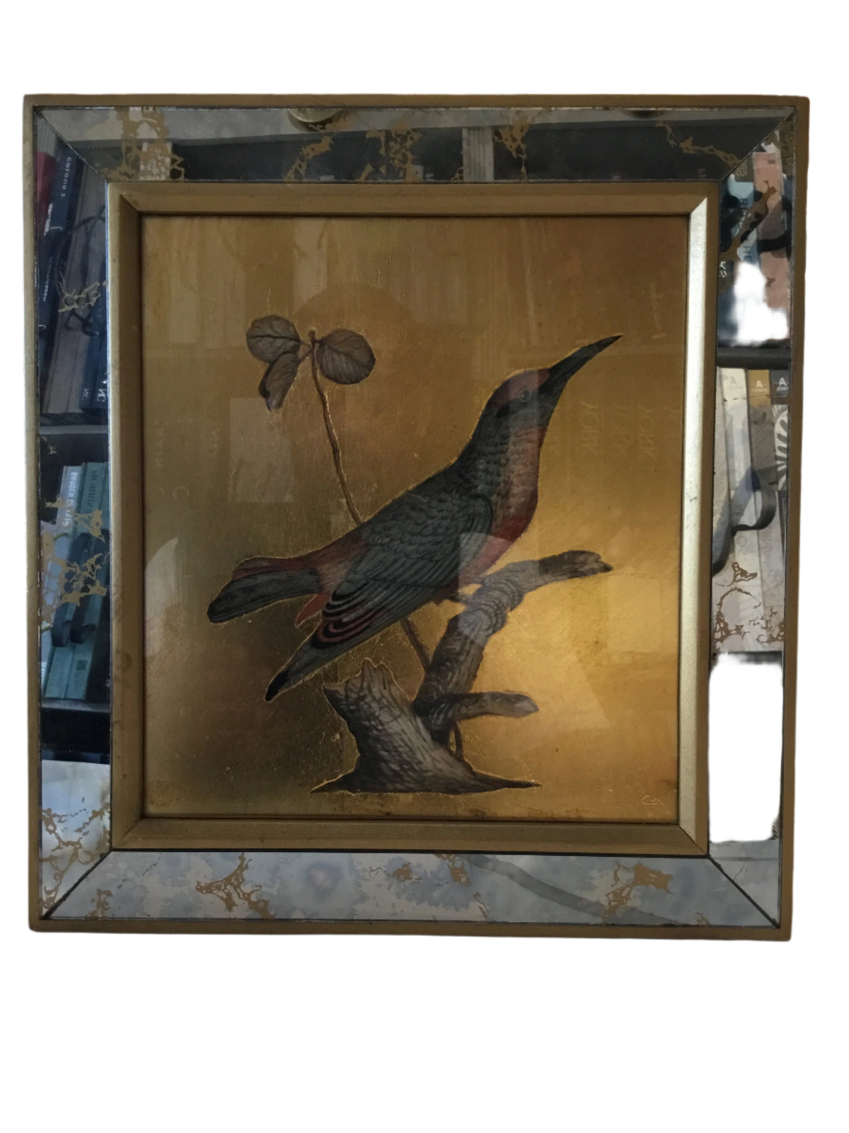 set of early 20th century bird print with gold leaf -