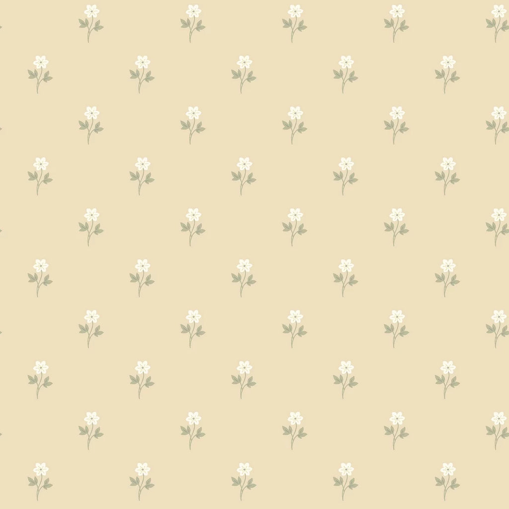 Anemone by Borastapeter Wallpaper