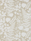 Les fougeres wallpaper in Champagne