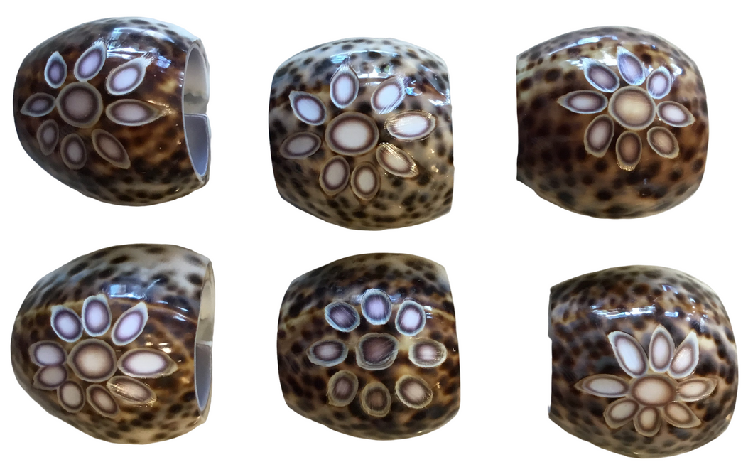 tiger cowrie shell napkin rings- set of 6