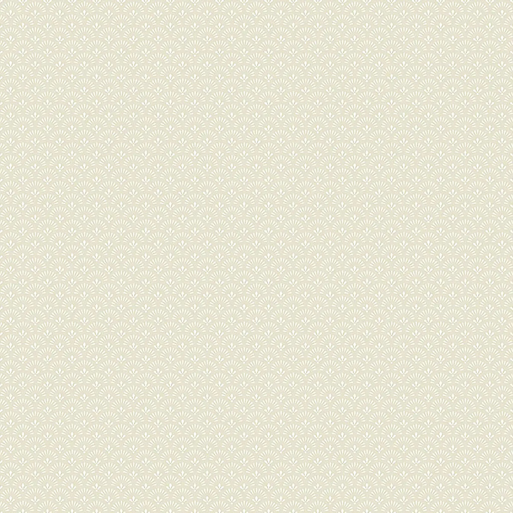Daisy Wallpaper