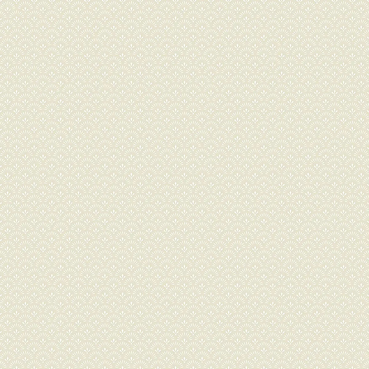 Daisy Wallpaper