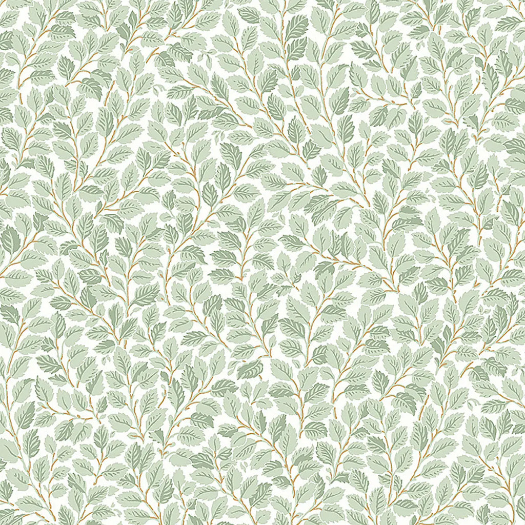 Hazel Wallpaper