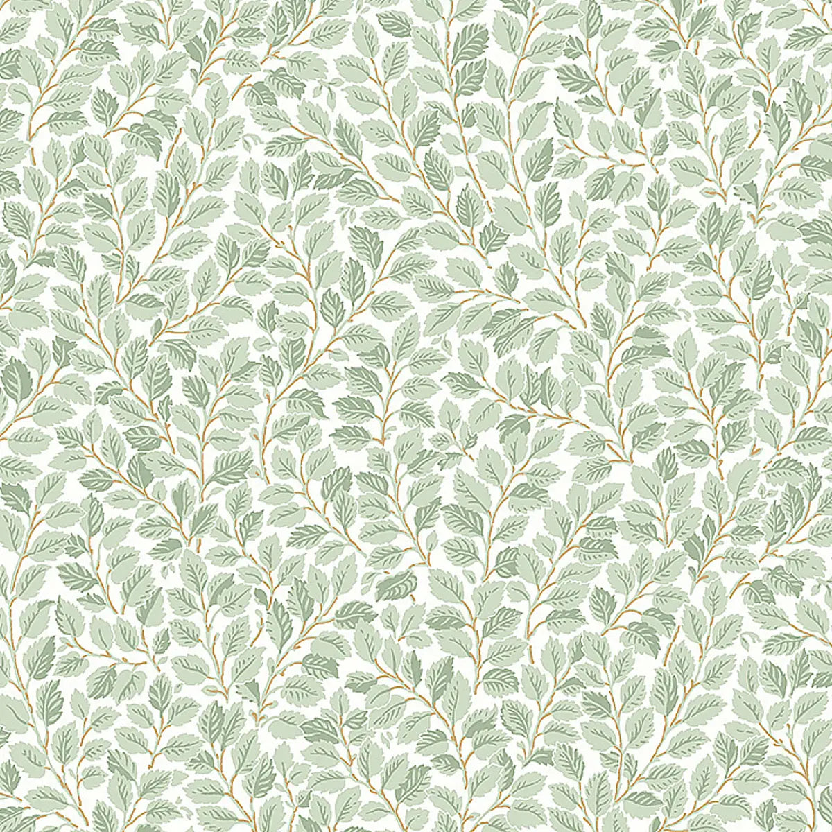 Hazel Wallpaper