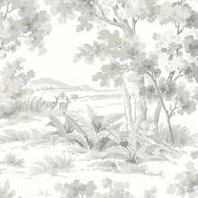 Load image into Gallery viewer, Countryside Morning Wallpaper - Grey