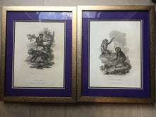Load image into Gallery viewer, pair of vintage monkey prints