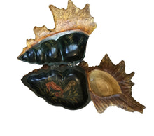 Load image into Gallery viewer, vintage handpainted shell trinket box
