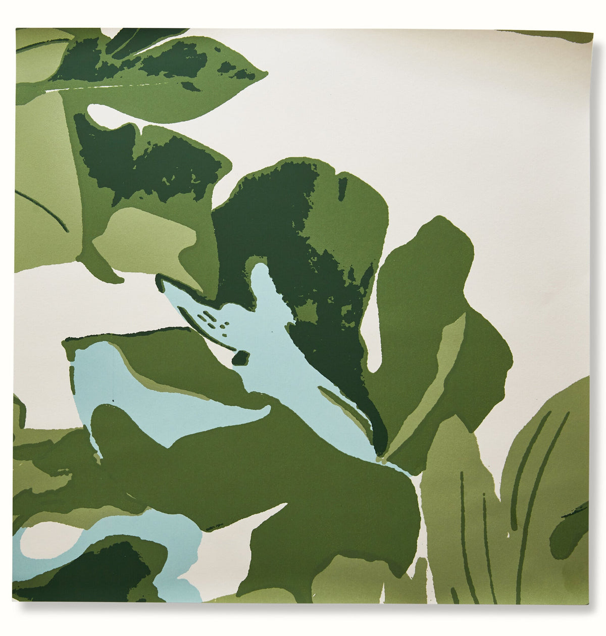 Fig Leaf Wallpaper by Peter Dunham