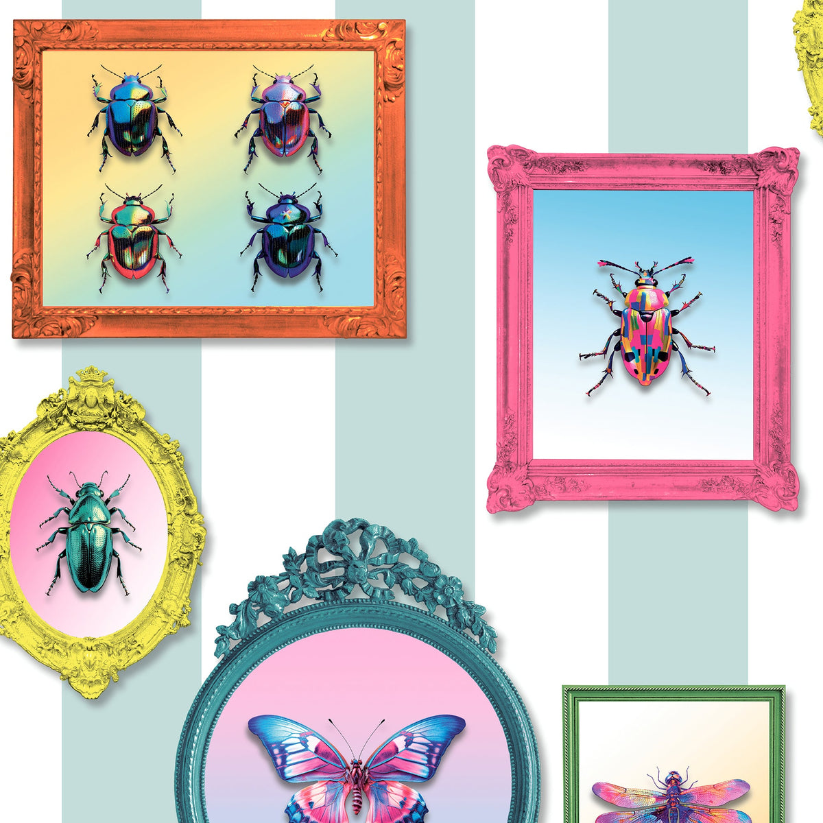 Entomology Gallery Wallpaper - Blue pattern