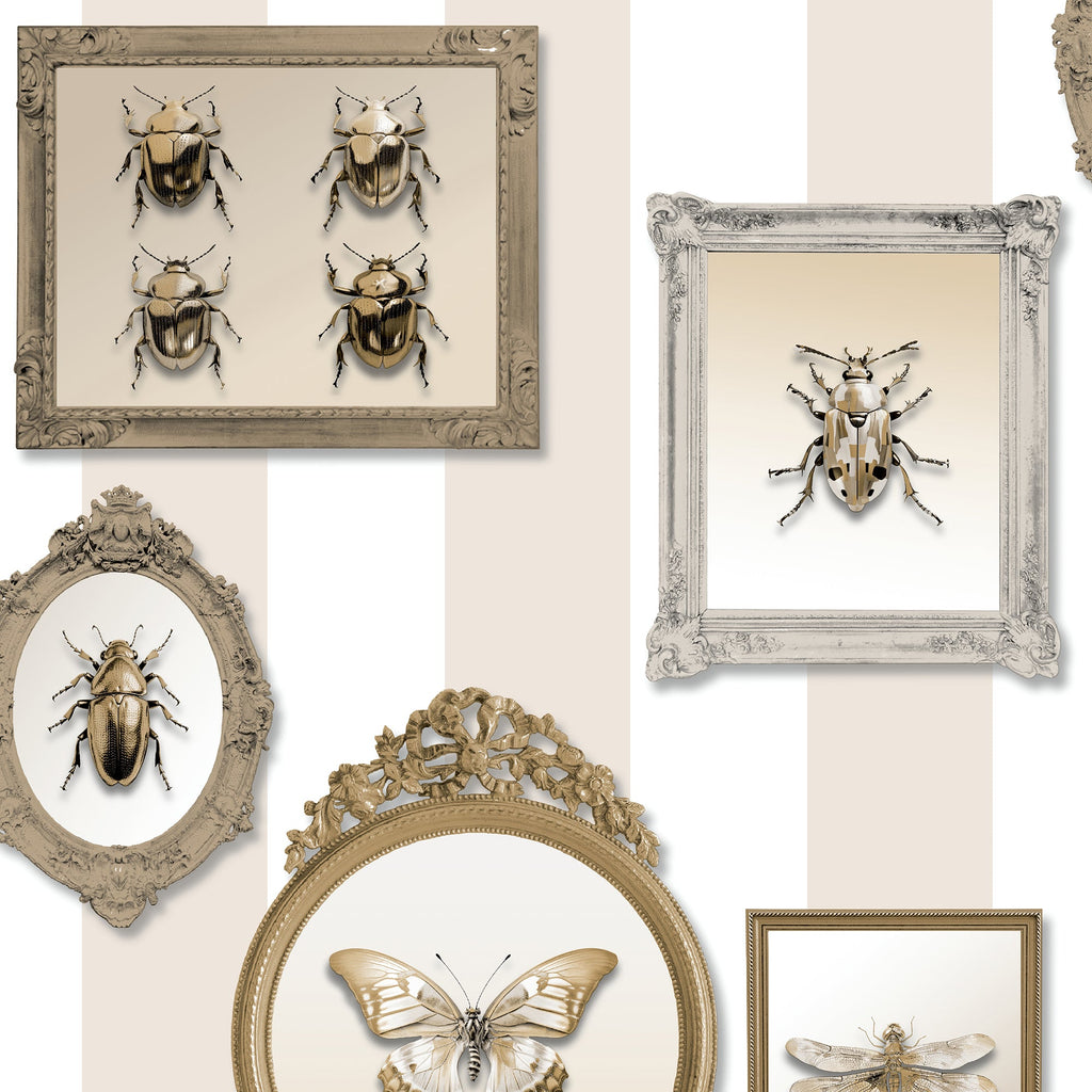 Entomology Gallery Wallpaper - Beige pattern
