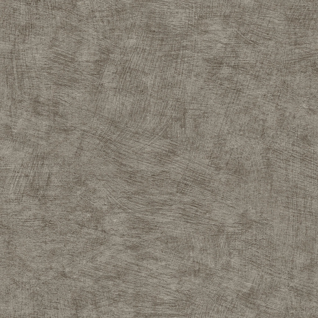Pampas Plain Brushed Texture Wallpaper - Gray pattern