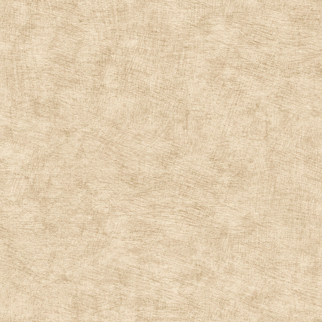 Pampas Plain Brushed Texture Wallpaper - Brown pattern