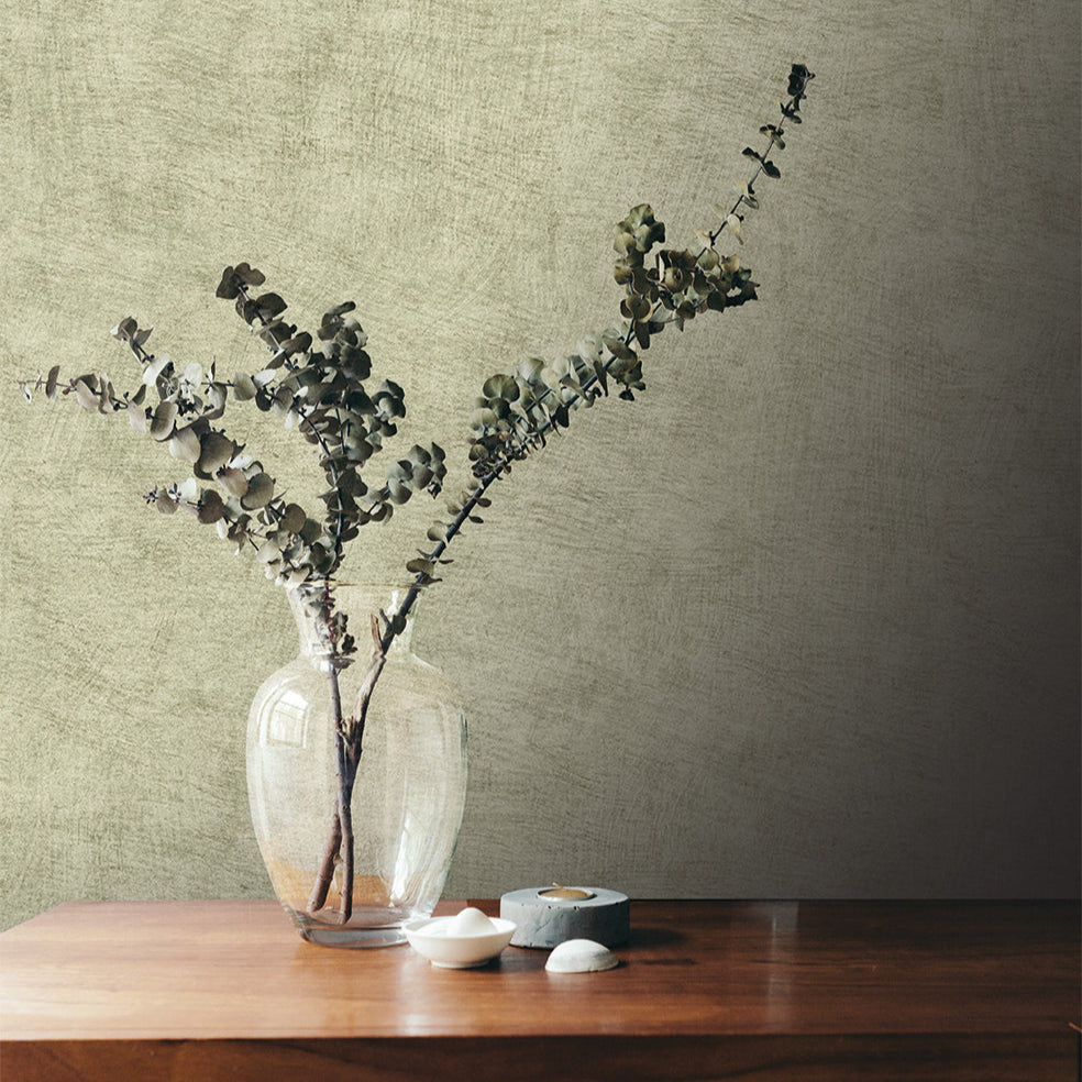 Pampas Plain Brushed Texture Wallpaper - Sage room view