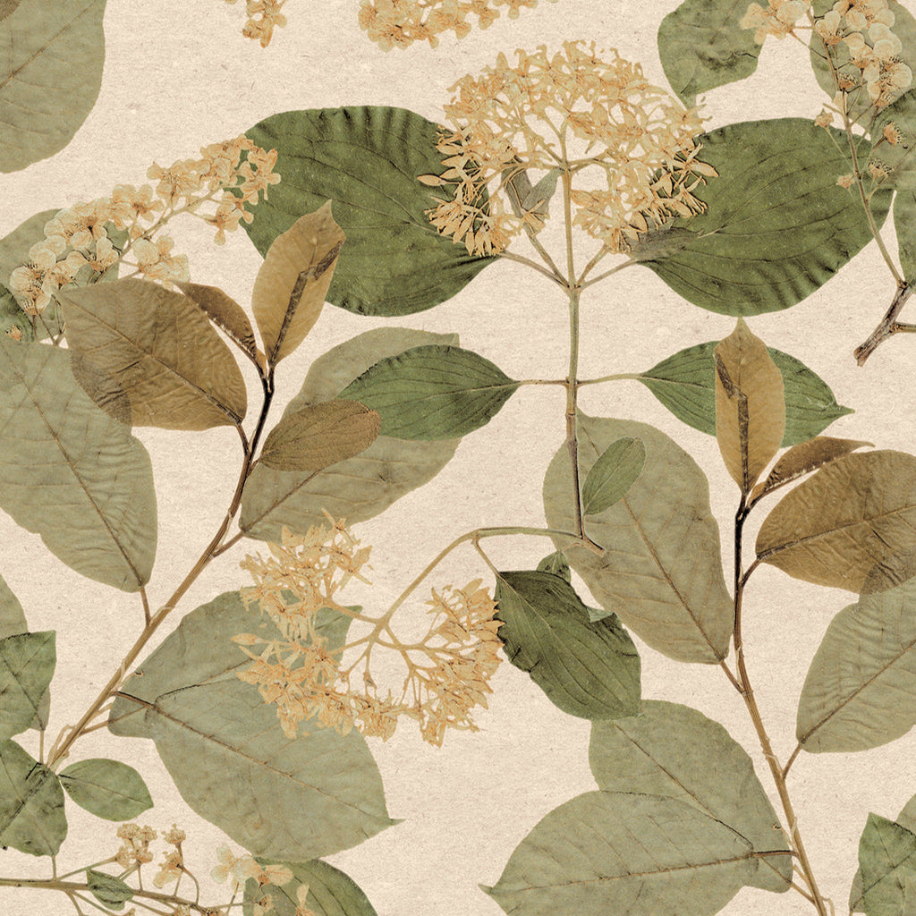 Castanum Bloom Wallpaper - Green pattern