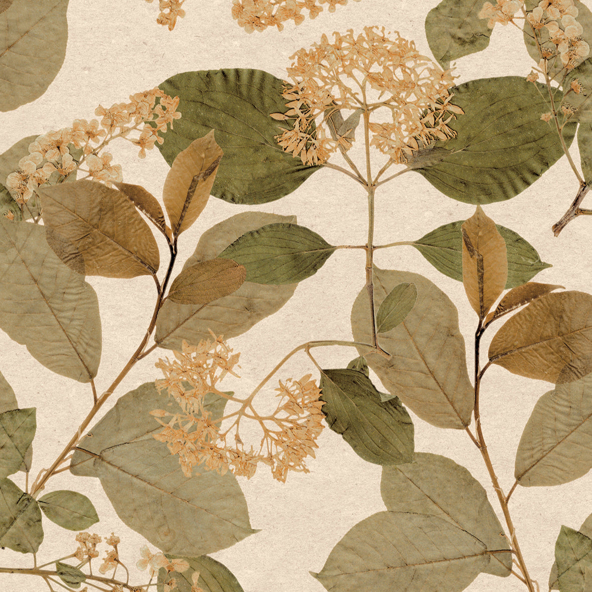 Castanum Bloom Wallpaper - Orange pattern