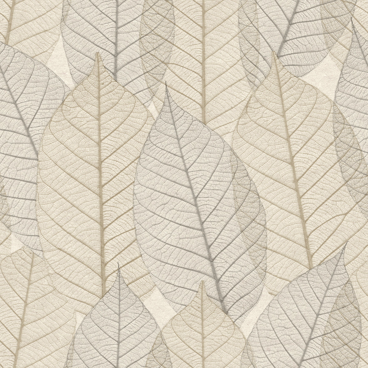 Leaf Lace Wallpaper - Cream pattern