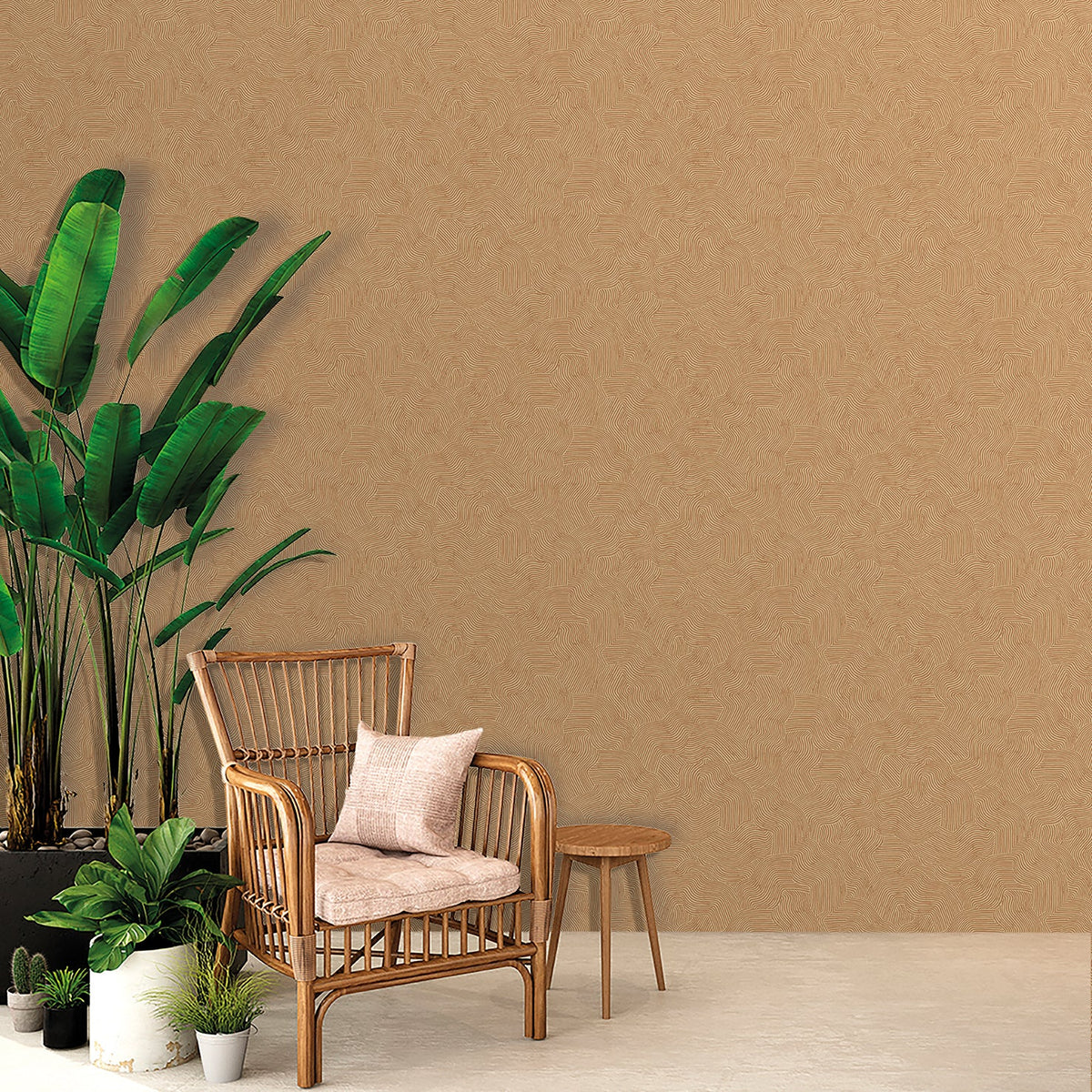 Bahia Dunes Wallpaper - Orange room view