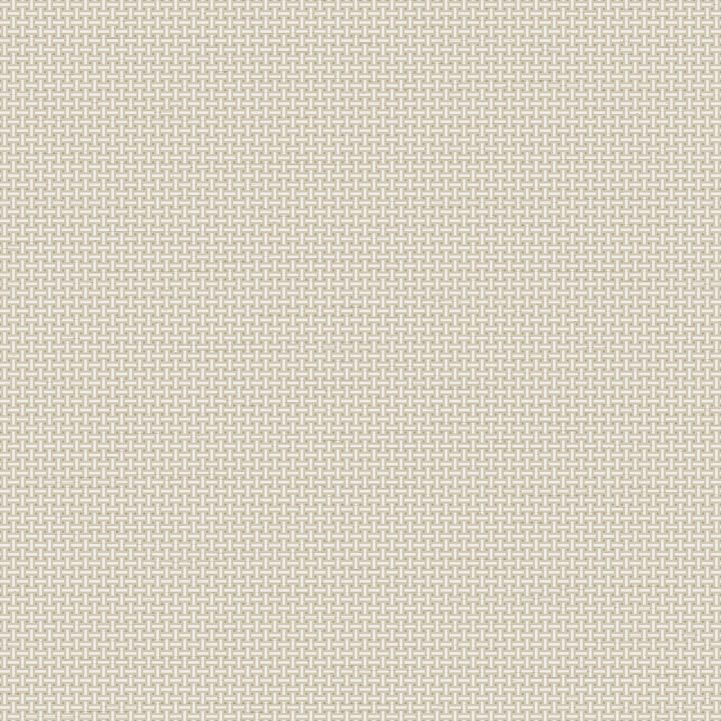 Cane Lattice Wallpaper - Sage pattern