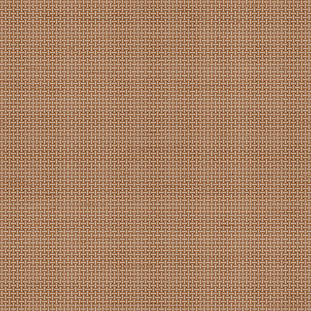 Cane Lattice Wallpaper - Brown pattern
