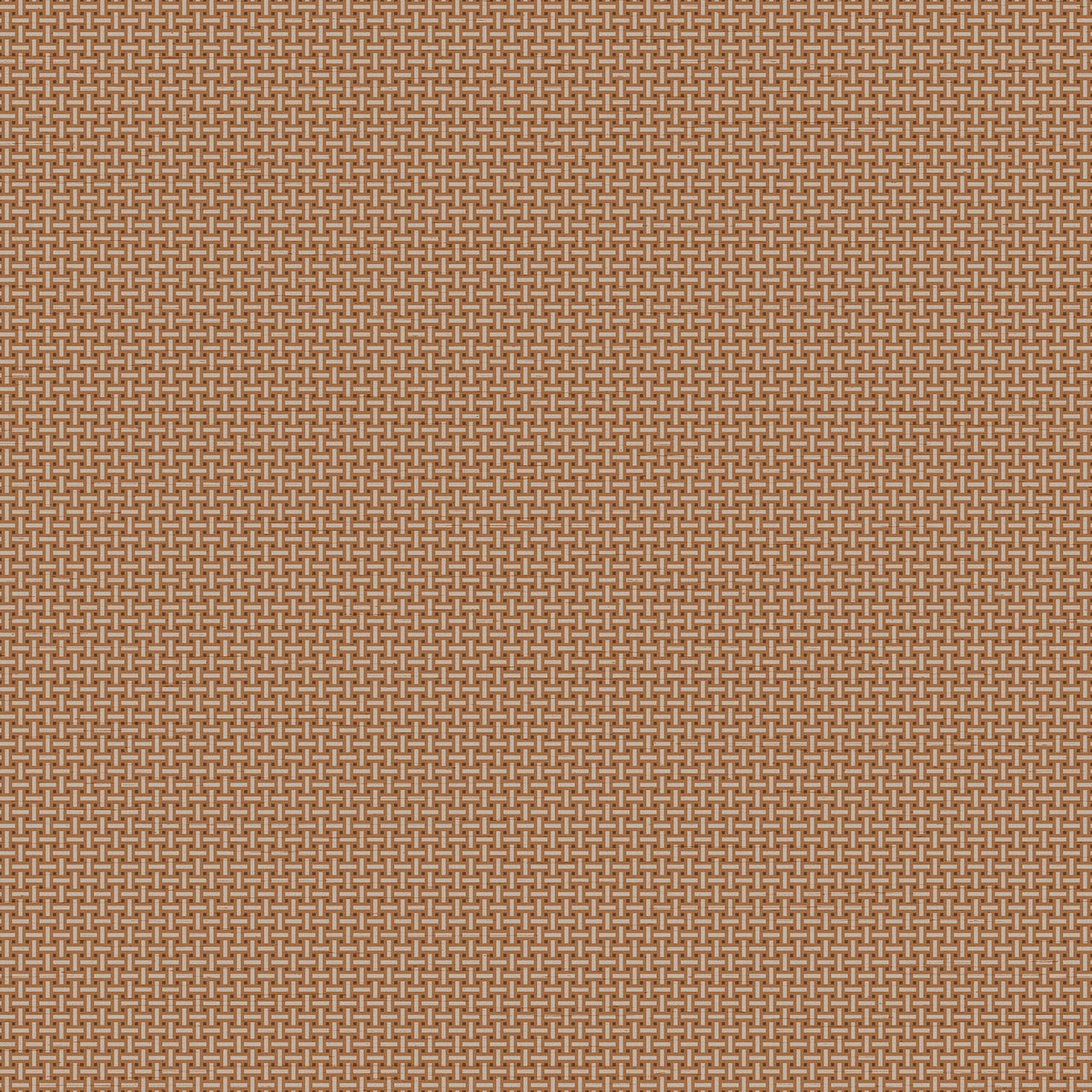 Cane Lattice Wallpaper - Brown pattern