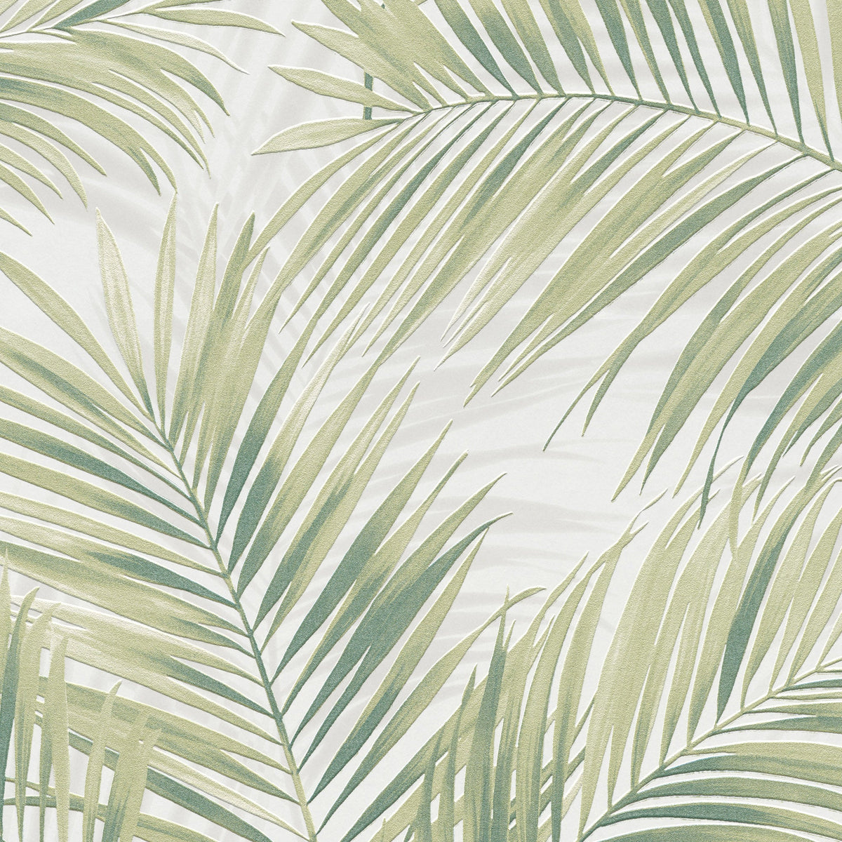 Calvado Palm Wallpaper - Green pattern