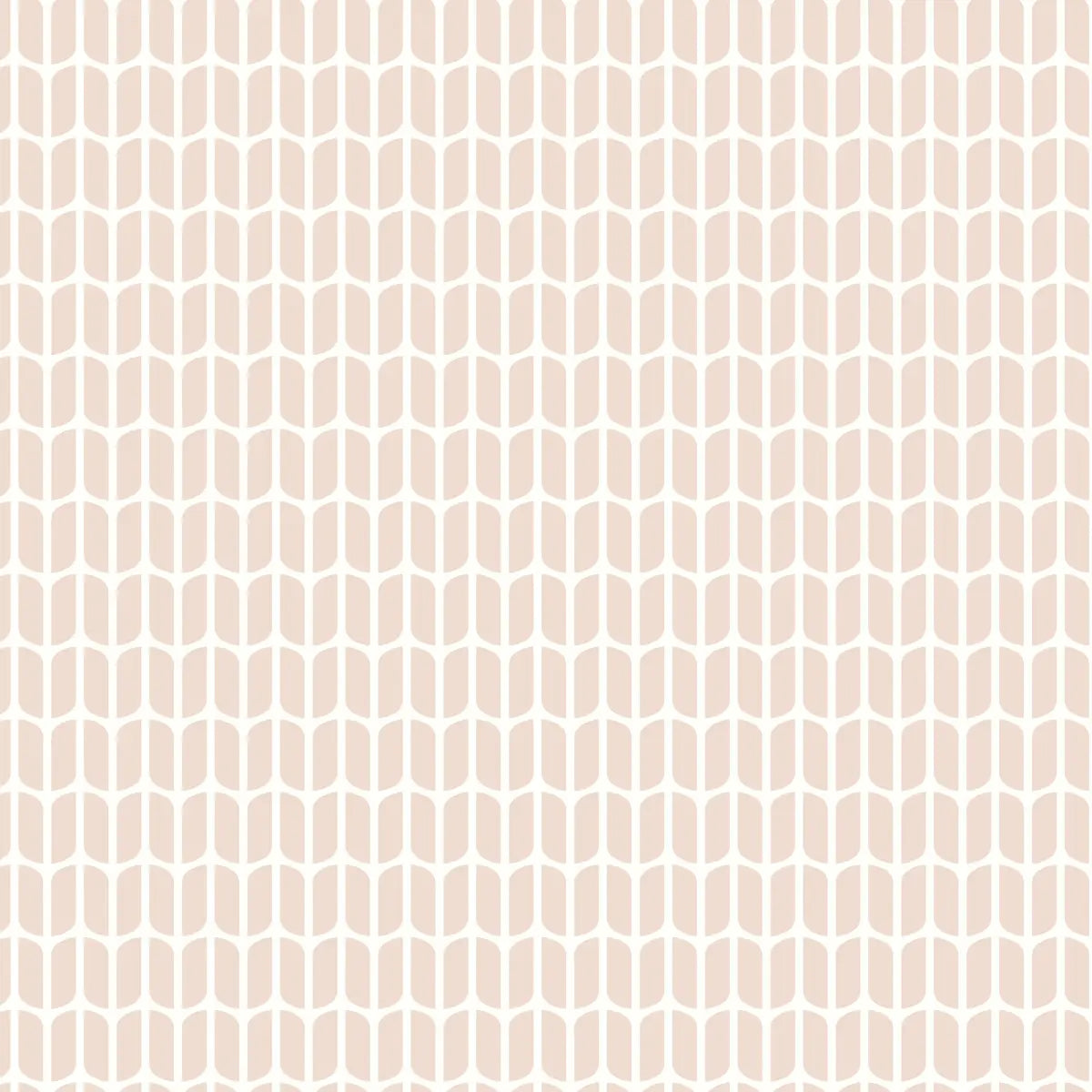 Petal Wallpaper - Petal