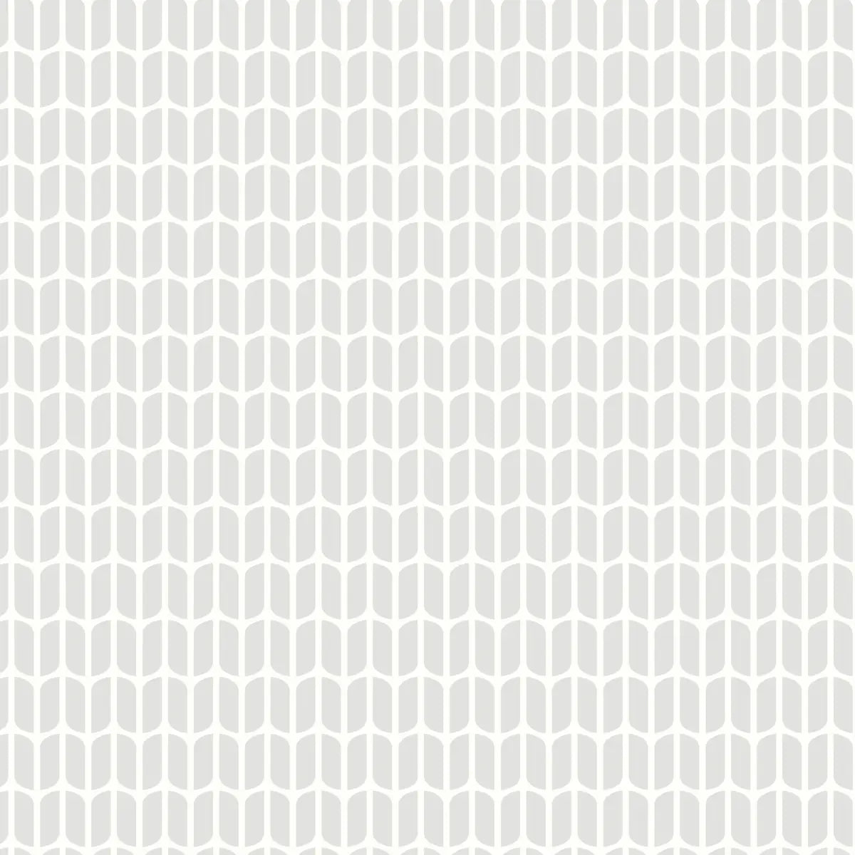 Petal Wallpaper