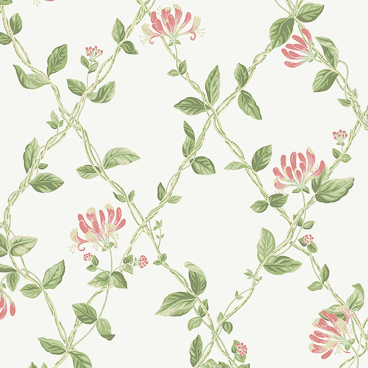 Honeysuckle Wallpaper