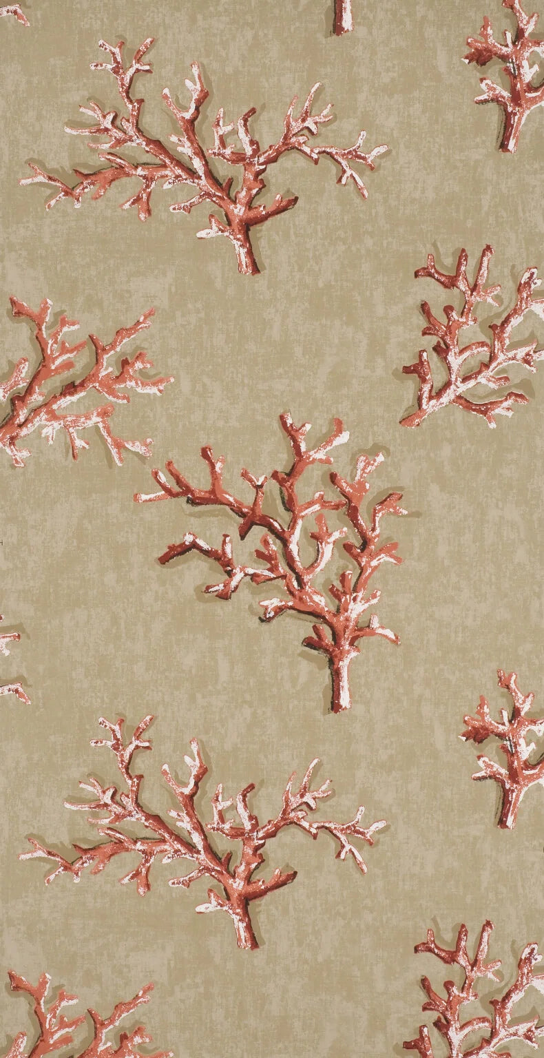 Lavezzi wallpaper in Corail