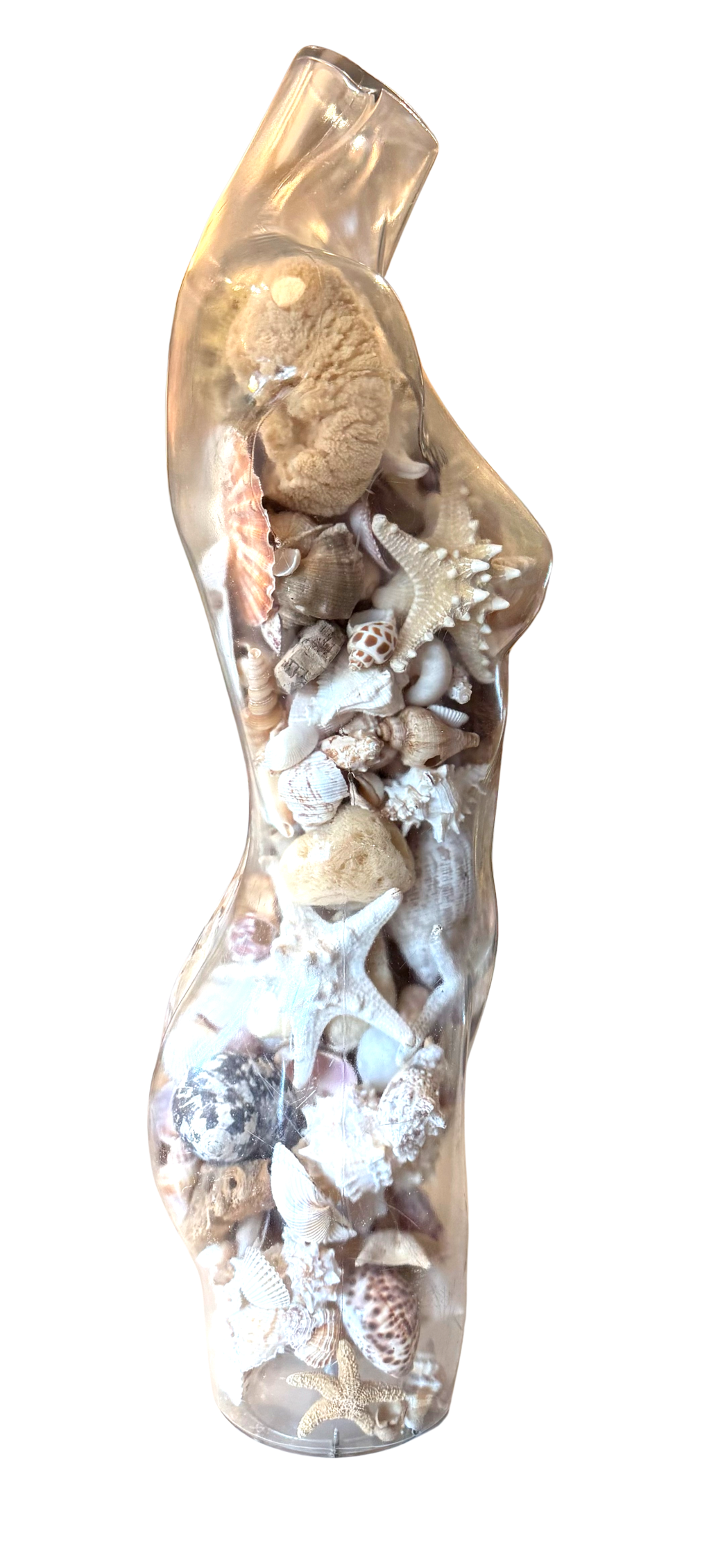 shell mannequin
