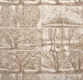 Arbres et sous bois wallpaper in BOULEAU